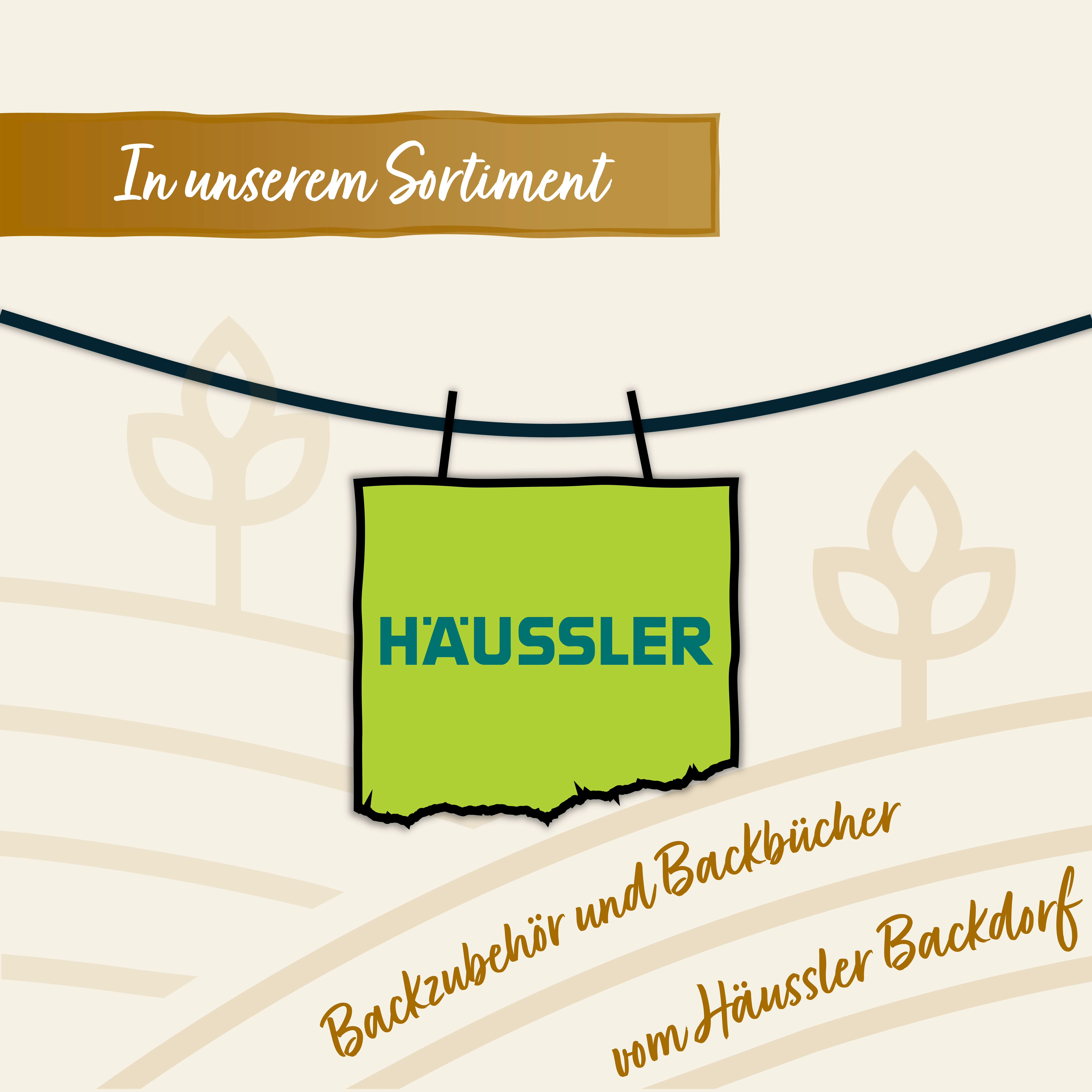 backdorf-haeussler